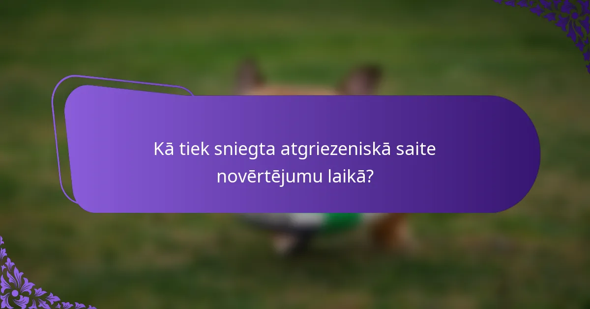 Kā tiek sniegta atgriezeniskā saite novērtējumu laikā?