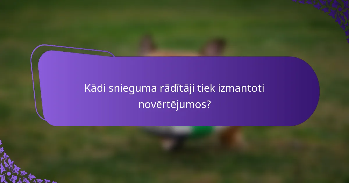 Kādi snieguma rādītāji tiek izmantoti novērtējumos?