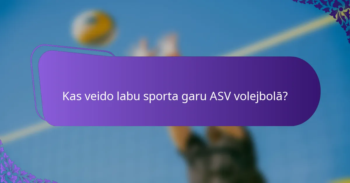 Kas veido labu sporta garu ASV volejbolā?